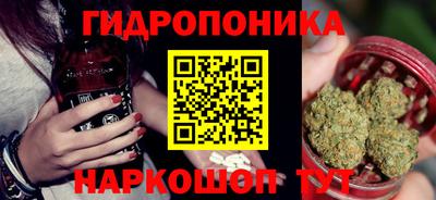 стаф Брянск