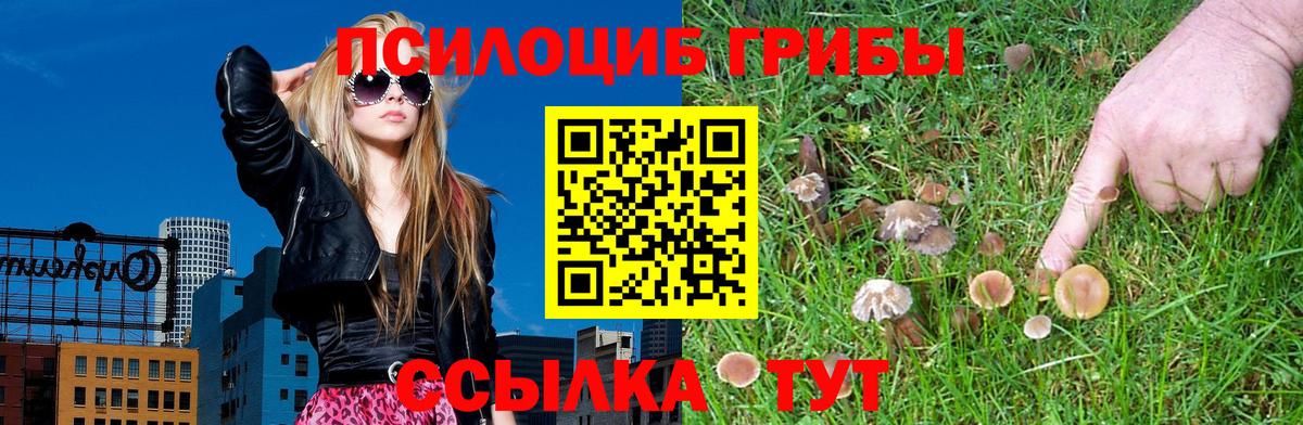 Галлюциногенные грибы ЛСД  Вход с VPN  Вязьма  Псилоцибиновые грибы GOLDEN TEACHER 